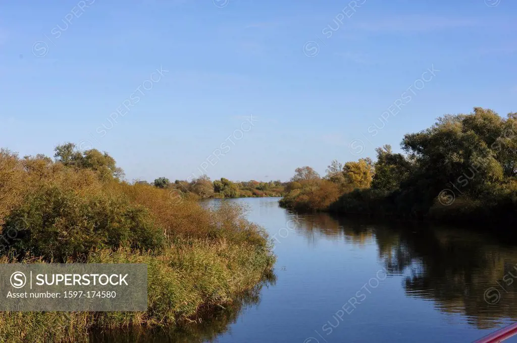 River, Peene, riverside, river basin, reeds, autumn, autumn colours, Mecklenburg_Vorpommern, Germany