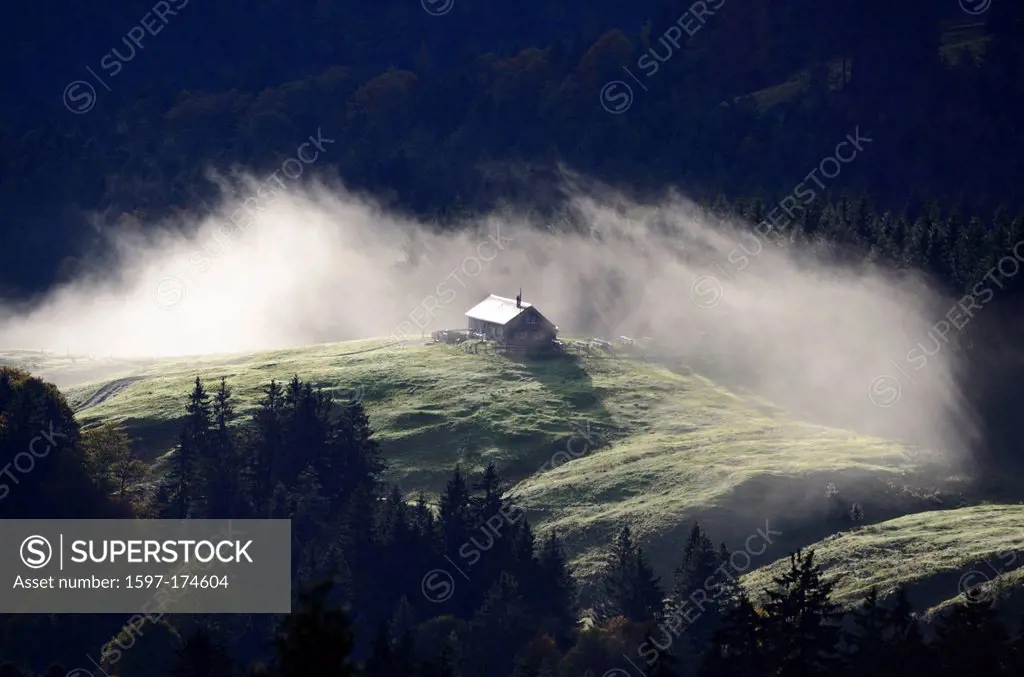 Mountain pasture, Chalet, Obergirlen, Regulastein, Alps, fog, Toggenburg, Canton, St. Gall, Switzerland
