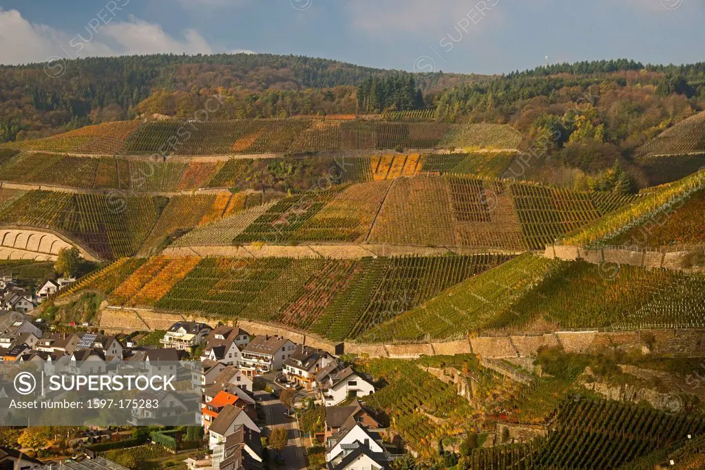 Wine village, Dernau, Ahr, vineyards, Ahrtal, red wine, late Burgundian, Portugieser, wine, wine_growing, Eifel, Rhineland_Palatinate, Germany, Europe