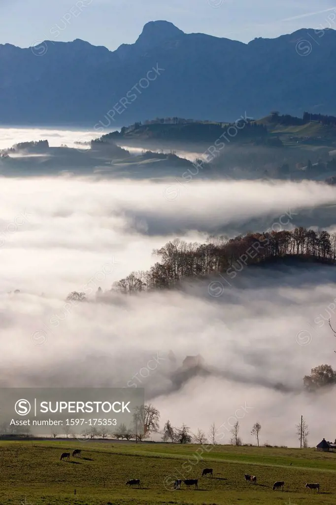 Sea of fog, fog, Gürbetal, BE, Stockhorn, autumn, canton, Bern, Bernese, Alps, Bernese Oberland, sunrise, Switzerland, Europe,