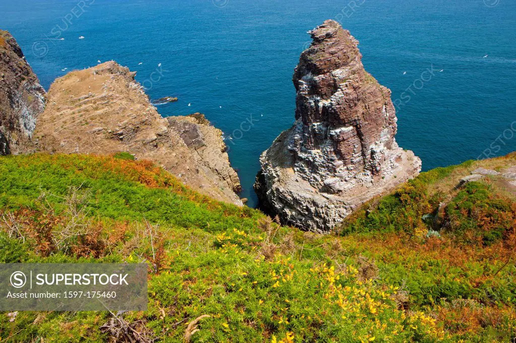 Cap Fréhel, France, Europe, Brittany, department Côtes d´Armor, coast, steep, sea, rock, cliff, bird´s rock