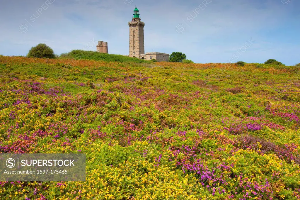 Cap Fréhel, France, Europe, Brittany, department Côtes d´Armor, coast, lighthouse