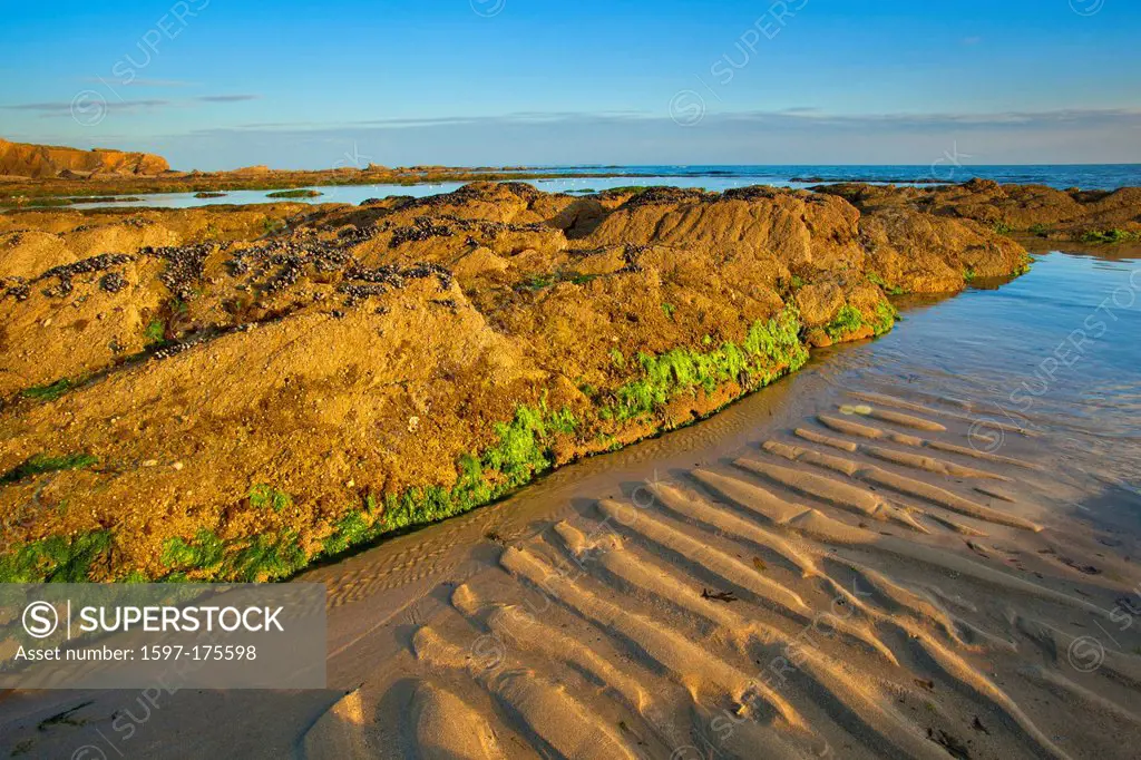 Pointe de Castelli, Piriac, France, Europe, Brittany, department Loire_Atlantique, sea, low, ebb, tide, coast, rock, cliff, sand