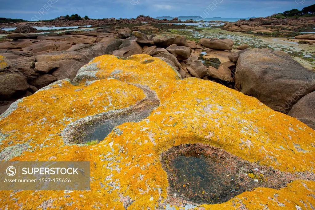 Trégastel, France, Europe, Brittany, department Côte d´Armor, Côte de granite rose, coast, low, ebb, tide, granite rock, rock, cliff, lichens