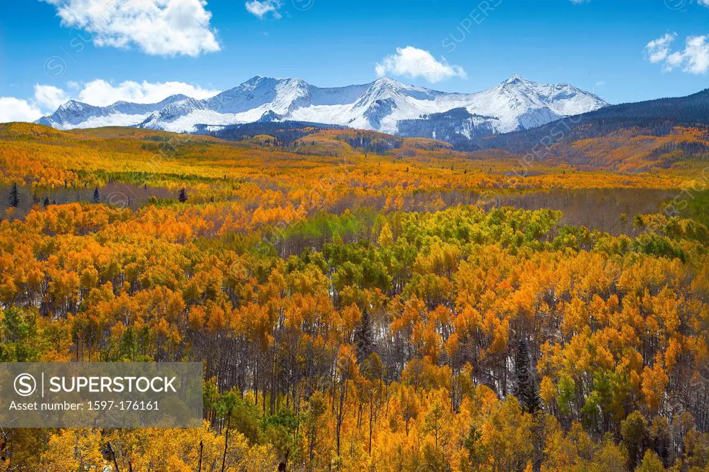 USA, United States, America, Colorado, fall, autumn, fall color, seasons, Aspens, mountains, mountain peaks, National Forest, Gunnison