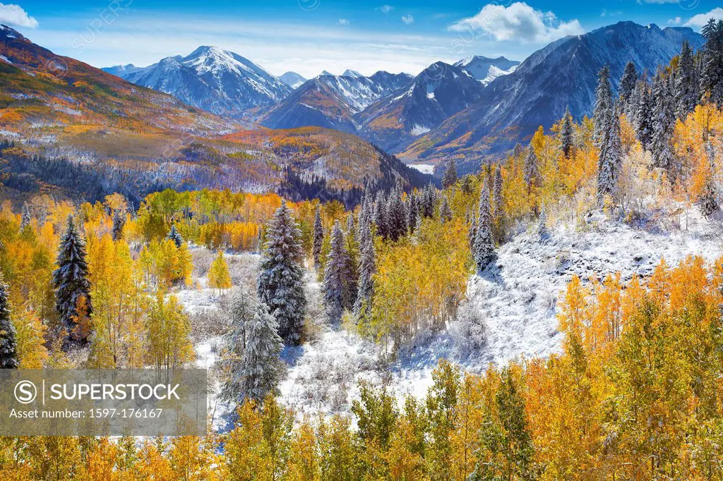 USA, United States, America, Colorado, Fall, Autumn, Trees, Fall Color, aspen, trees, snow, mountains