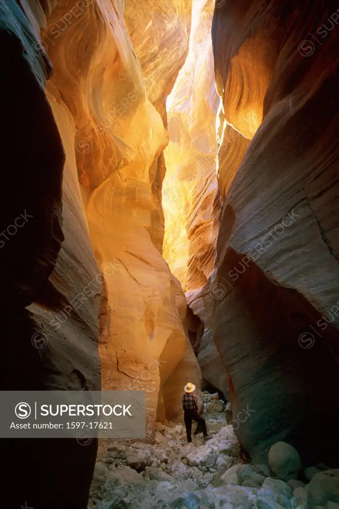 Bucksking Gulch, Paria Canyon Vermillion Cliffs Wilderness, USA, America, United States, Utah, woman, trekking, hiki