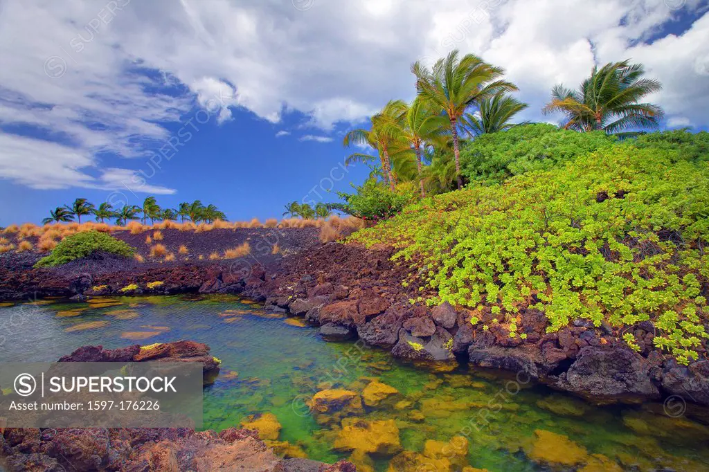 USA, United States, America, Hawaii, Big Island, Palm Trees, Inlet, Ocean, Pacific