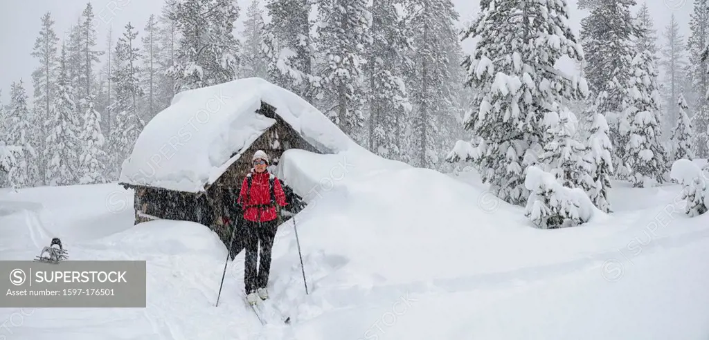 USA, United States, America, Oregon, Bend, North America, Deschutes, National forest, Swampi, Ski, Nordic, woman, snow, snowing, outdoor, Oregon, pano...
