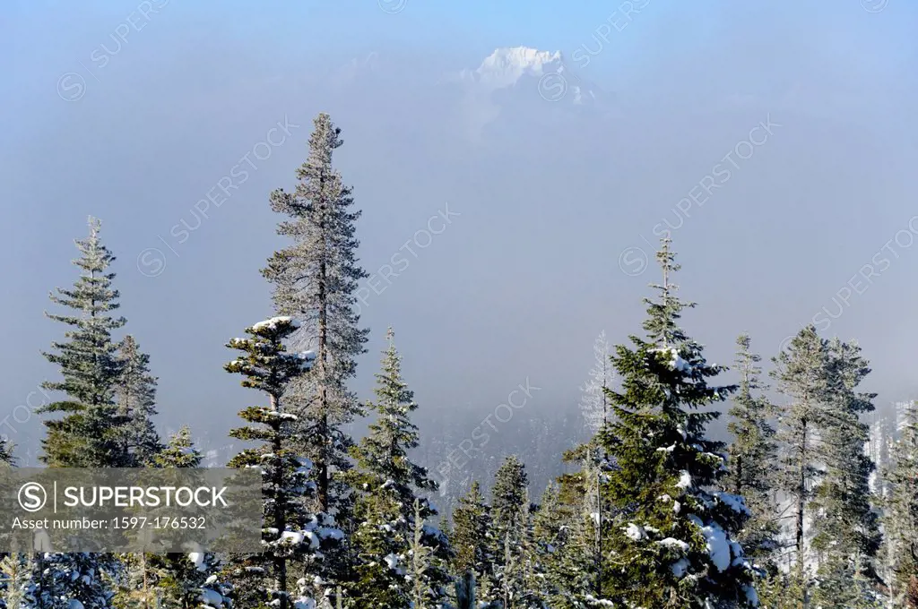 USA, United States, America, Oregon, Bend, North America, Deschutes, County, Cascades mountains, National Forest, winter, nature, snow, tree, snowy, f...