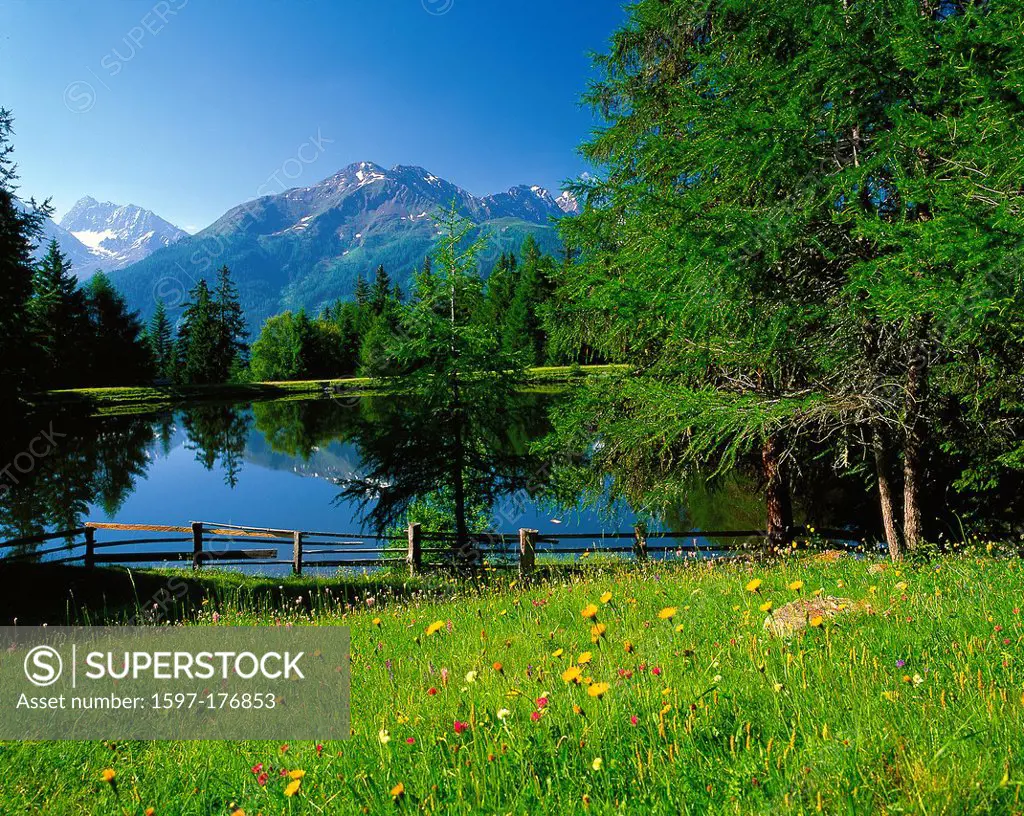 Austria, Europe, Tyrol, Kaunertal, mountain Kauner, pond, water, lake, mountain lake, Schnadig pond, meadow, flower meadow, fence, wood, forest, spruc...
