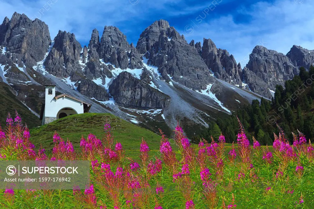 Austria, Europe, Tyrol, Grinzens, alp Kemat, Alp, chapel, meadow, flowers, fireweed, willowherb, mountains, snow, summer, Kalkkögel, sky, clouds, natu...