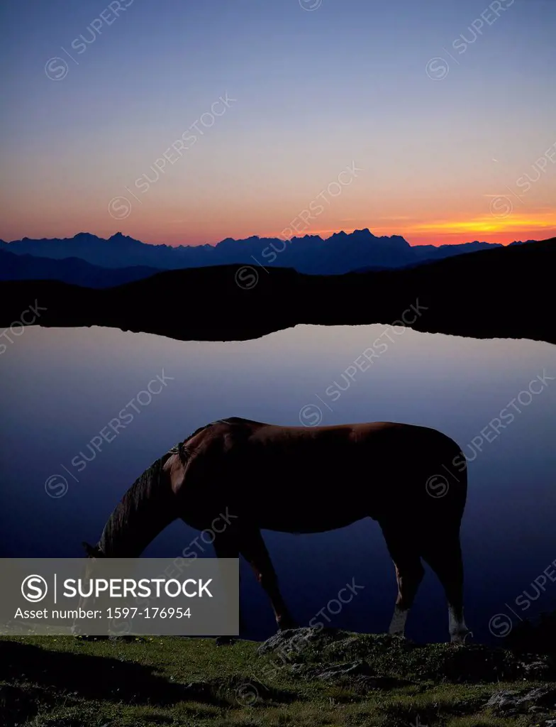 Austria, Europe, Tyrol, Kühtai, Feldringalm, alp lake, water, mountain lake, evening, mood, mountains, Lechtal, Lech valley, Alps, high, nature, horse...