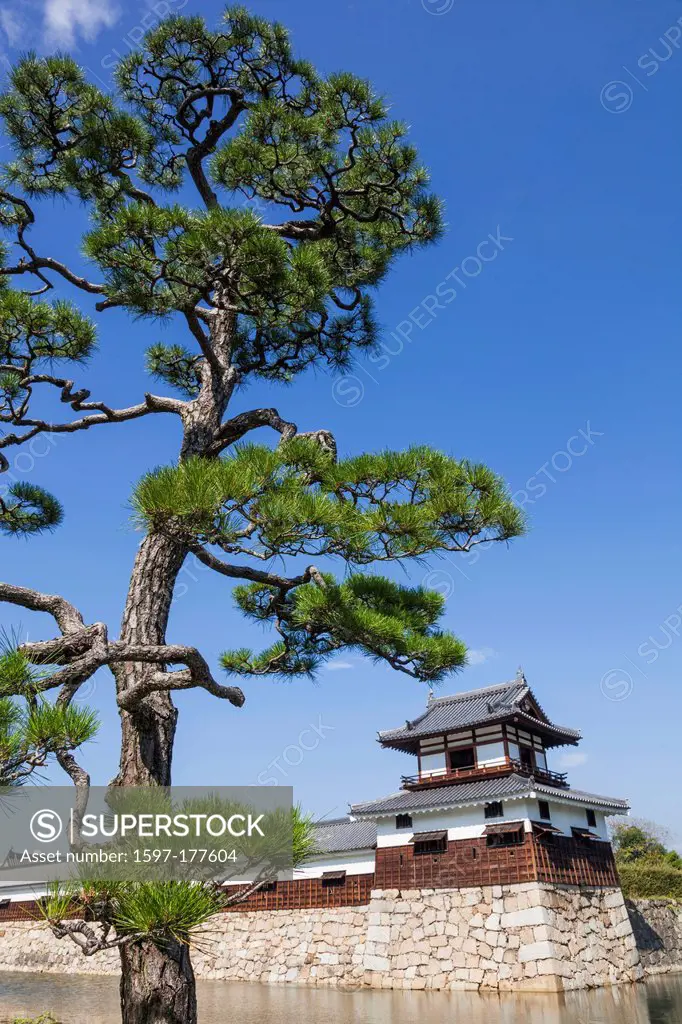 Japan, Kyushu, Hiroshima, Hiroshima Castle, Moat and Guard Tower