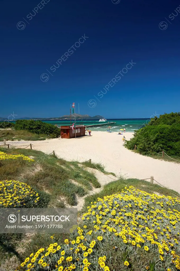 Balearic Islands, Majorca, Mallorca, Spain, Europe, outside, Platja de Muro, sand beach, sand beaches, beach, seashore, beaches, seashores, coast, coa...