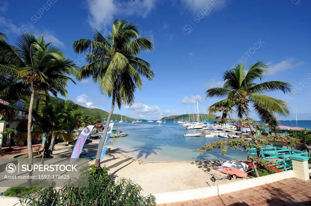 BVI, boats, British Virgin Islands, Virgin Islands, British Virgin Islands, harbour, port, island, isle, Virgin Gorda, Caribbean, sea, palms