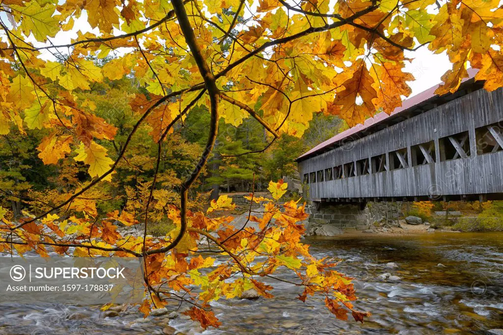 USA, United States, America, New Hampshire, Conway, North America, New England, East Coast, Carroll County, Indian Summer, autumn, White Mountains, Ka...