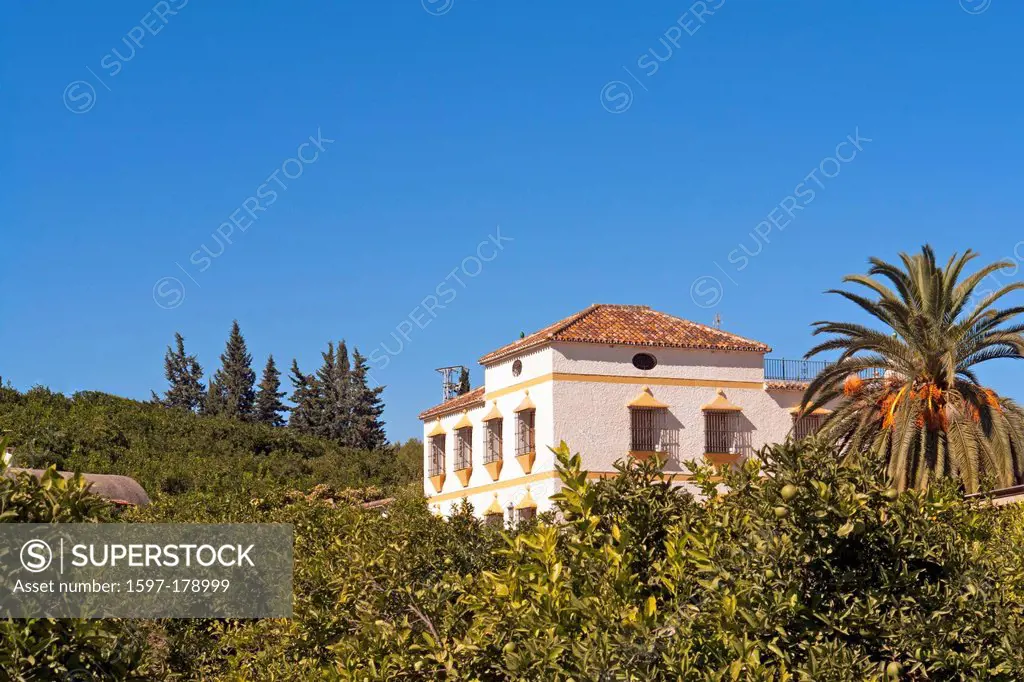 Europe, Spain, Andalusia, Cerralba, estate, Cortijo Villalon, palms, trees, architecture, plants, buildings, constructions, scenery