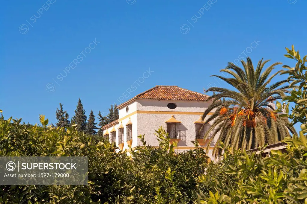 Europe, Spain, Andalusia, Cerralba, estate, Cortijo Villalon, palms, trees, architecture, plants, buildings, constructions, scenery