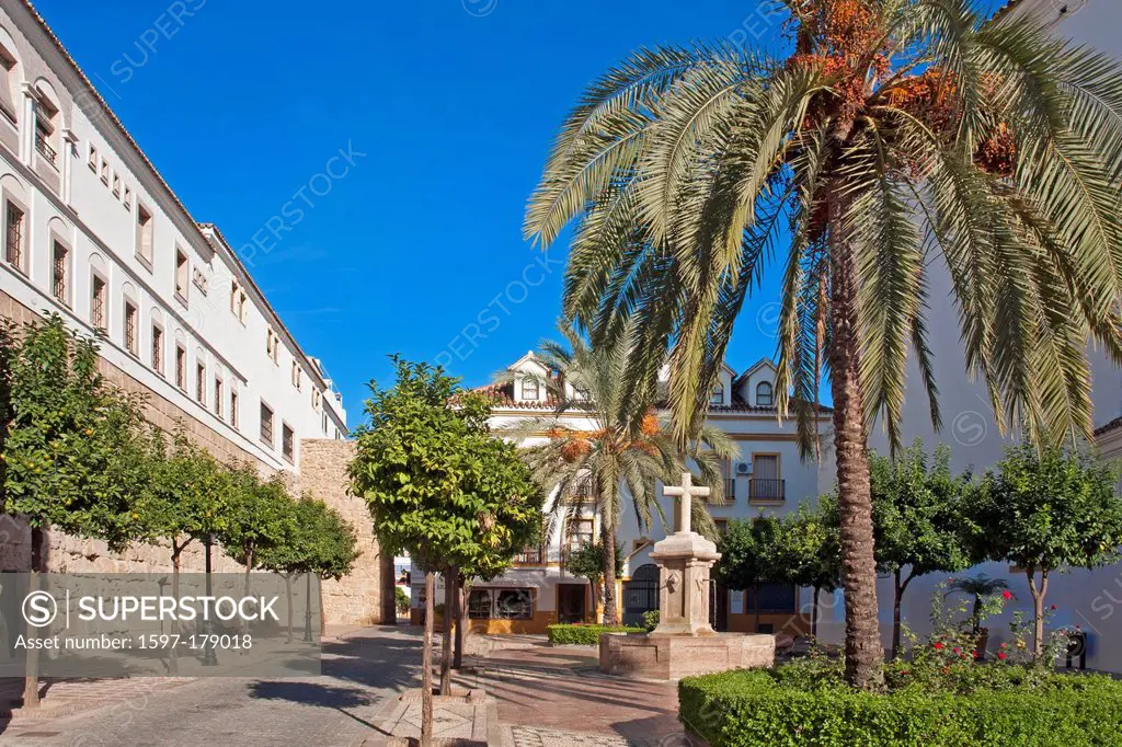 Europe, Spain, Andalusia, Marbella, Plaza de la Iglesia, palm, well, cross, architecture, trees, buildings, constructions, church, well, water, touris...