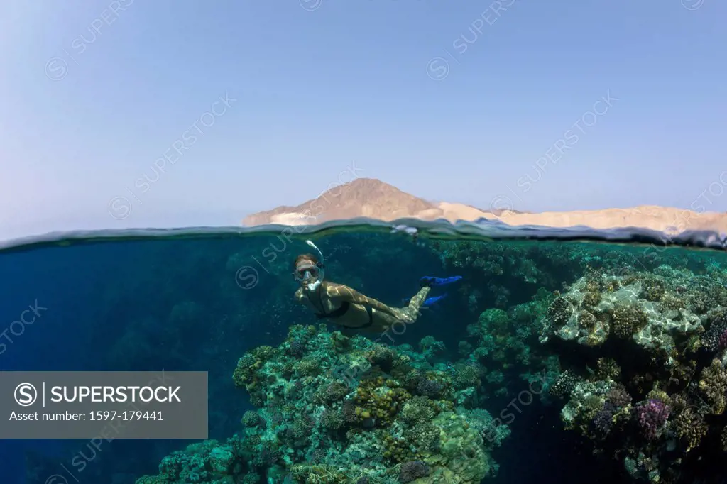 Skin diving, Hardcorals, Hard Coral, Stoney Corals, Stone Corals, Coral, corals, Reef, Reefs, Coralreef, Coralreefs, coral reef, Anthozoans, Anthozoa,...