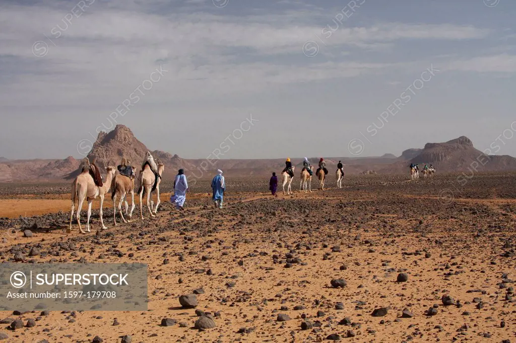 Algeria, Africa, north Africa, desert, stone desert, rocky desert, Sahara, Tamanrasset, Hoggar, Ahaggar, mountain, mountains, Tuareg, ride, camel, dro...