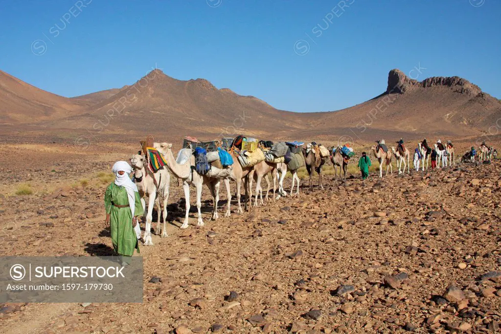 Algeria, Africa, north Africa, desert, stone desert, rocky desert, gibber plain, Sahara, Tamanrasset, Hoggar, Ahaggar, mountain, mountains, Tuareg, ri...