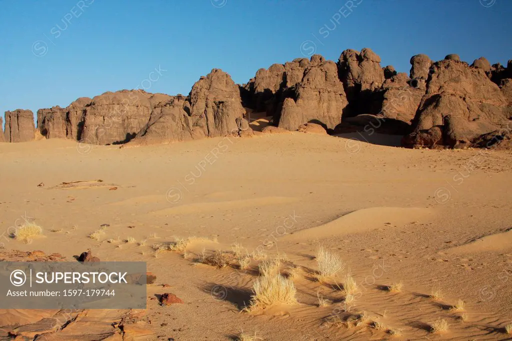 Algeria, Africa, north Africa, desert, sand desert, Sahara, Tamanrasset, Hoggar, Ahaggar, rock, rock formation, Tassili du Hoggar, vegetation, nature,...