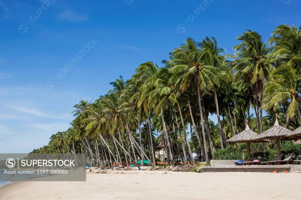 Asia, Vietnam, Mui Ne, Mui Ne Beach, Beach, Beaches, Coast, Coastal, Sea, Palm Tree, Palm Trees