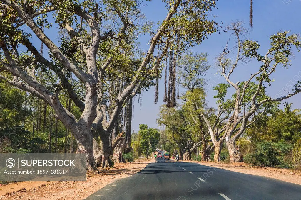 India, South India, Asia, Karnataka State, South Mysore Road, South Mysore, road, traffic, transport, tree, trees
