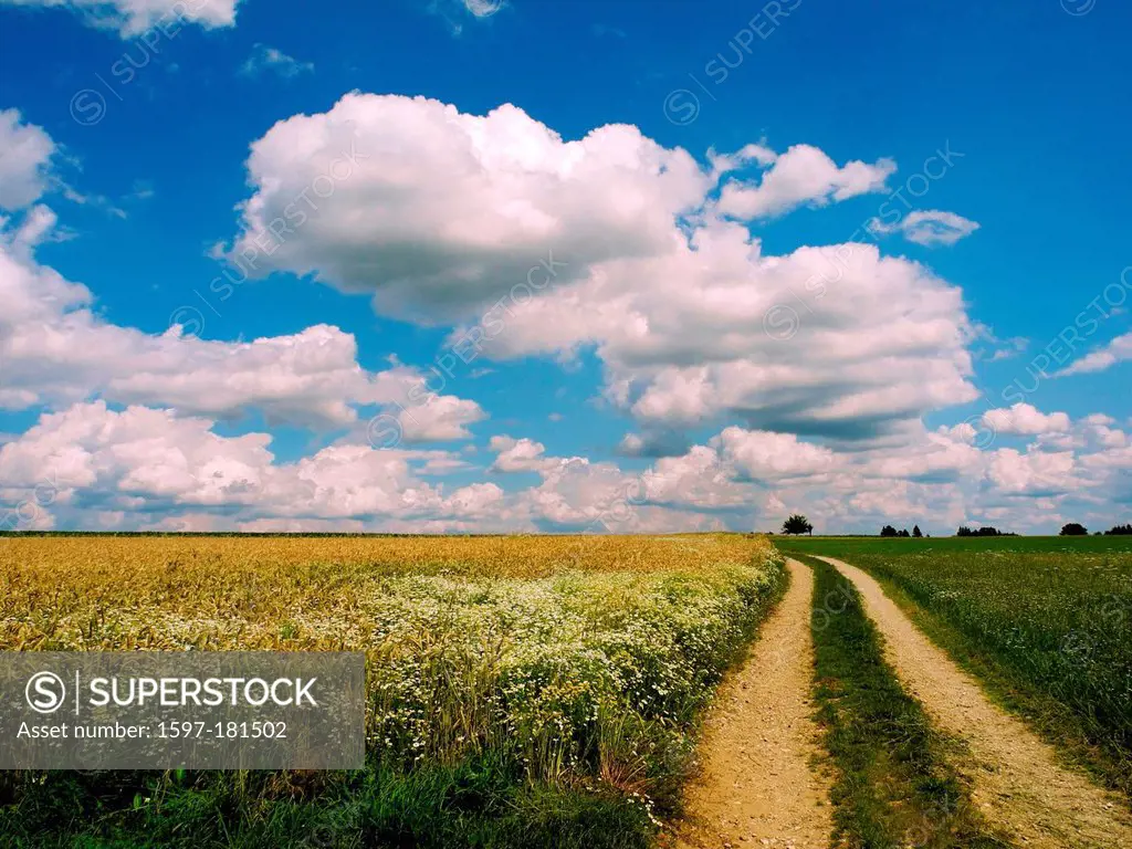 Germany, Upper Palatinate, grain-fields, cornfields, agriculture, way, country lane, sky, blue, clouds, heap clouds
