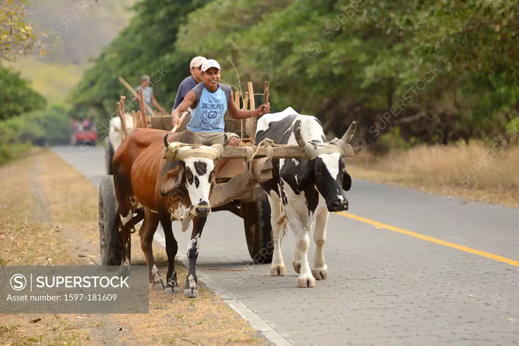 Central America, Nicaragua, Isla Ometepe, UNESCO, Biosphere, Preserve, ox cart, rural, people, local, countryside, wagon, Moyogalpa, transportation