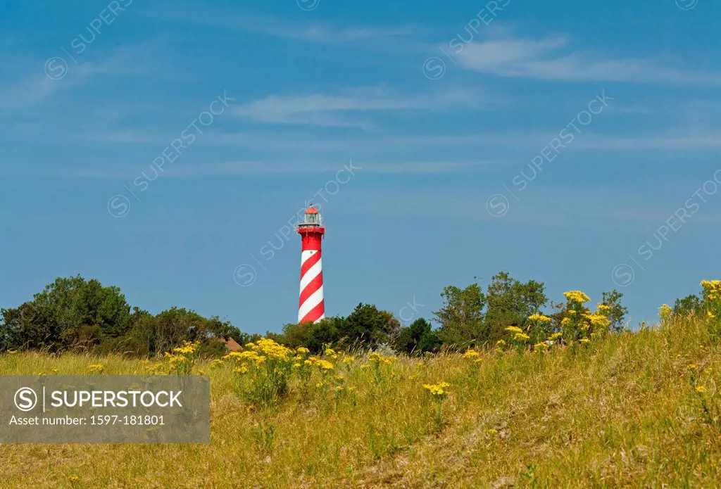 Netherlands, Holland, Europe, Nieuw Haamstede, Lighthouse, landscape, flowers, summer,