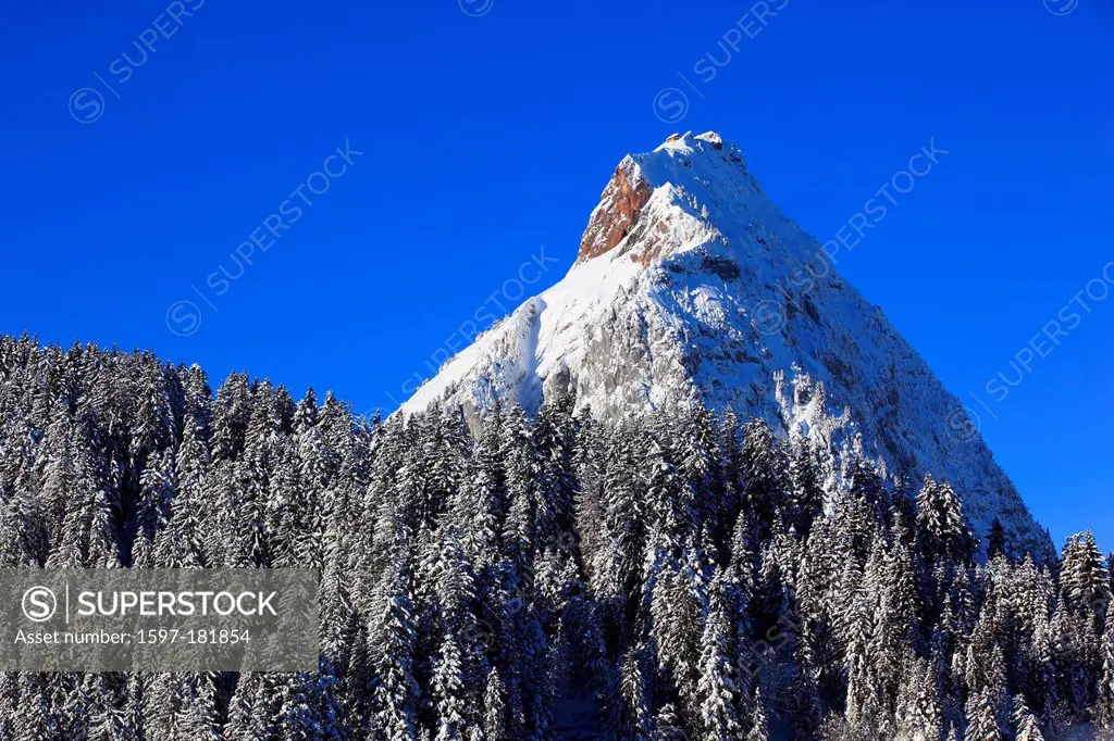 Alps, Alpine, panorama, view, mountain, mountains, massif, trees, spruce, spruces, mountains, summits, peaks, big, Mythen, Central Switzerland, cold, ...