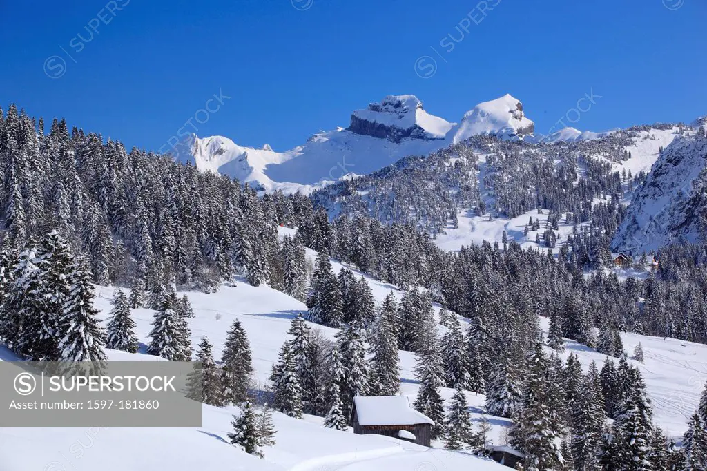 Alps, Alpine wreath, Alpine, panorama, view, mountain, mountains, trees, spruce, spruces, mountains, summits, peaks, Central Switzerland, Internal Swi...