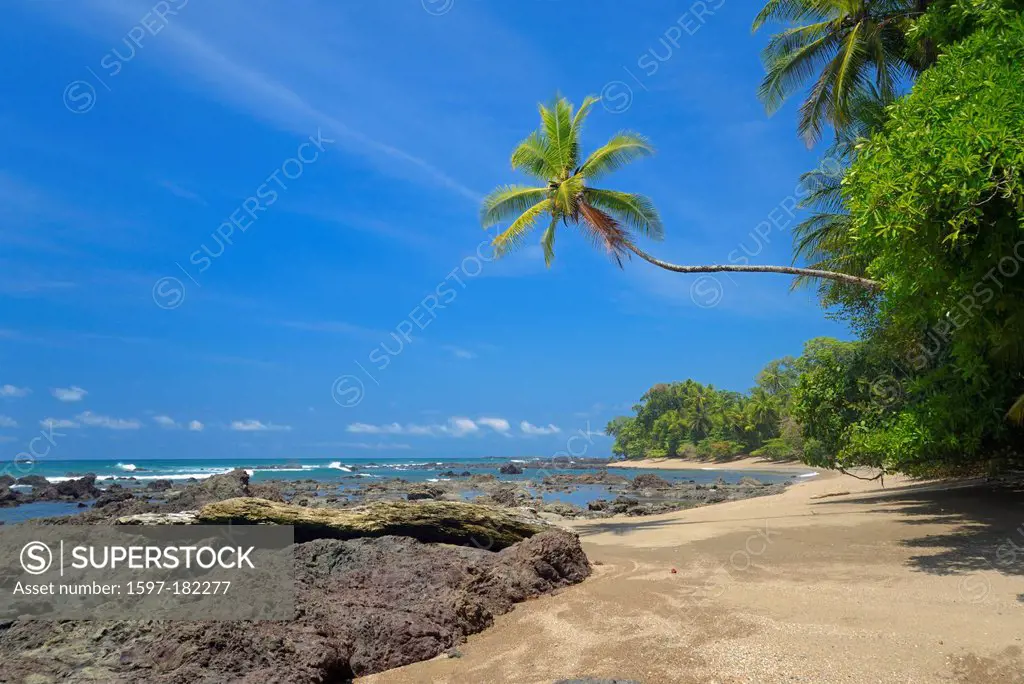 Pacific coast, Corcovado, National Park, Costa Rica, Central America, pacific, coast, beach, palm, Puntarenas,