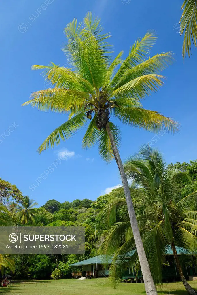 Pacific coast, Corcovado, National Park, Costa Rica, Central America, pacific, coast, beach, palm, landscape, osa peninsula, ranger station, Puntarena...