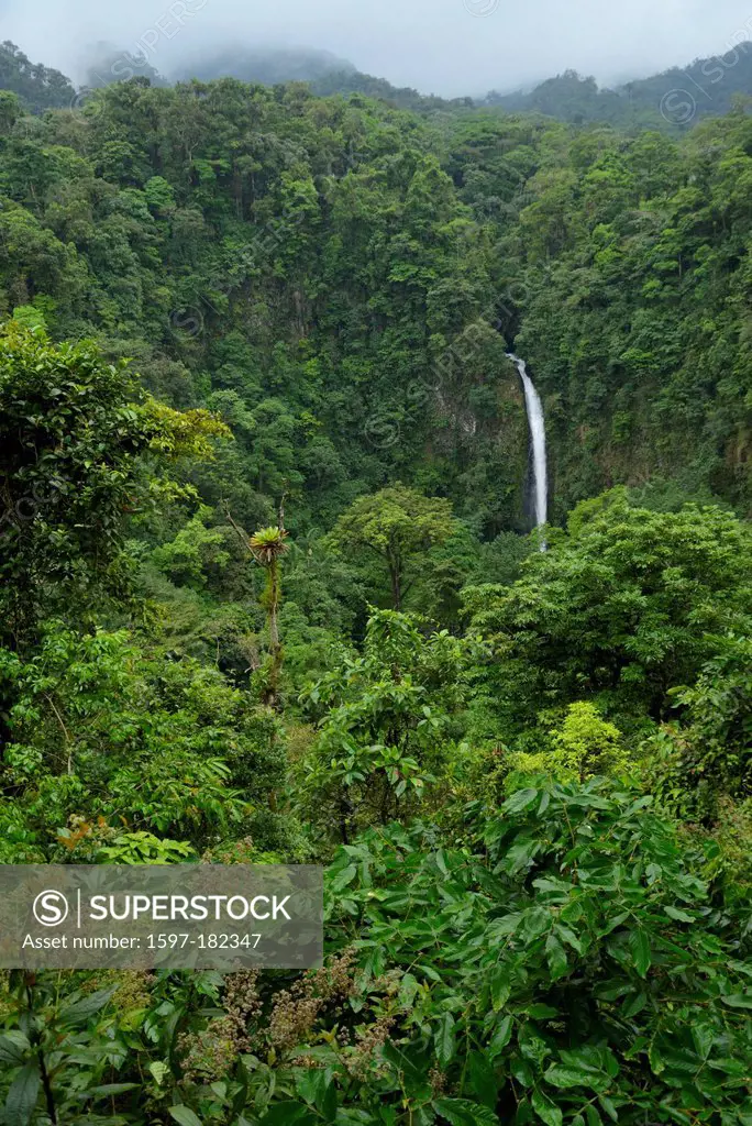 Central America, Costa Rica, waterfall, La Fortuna, fall, water, nature, Alajuela,