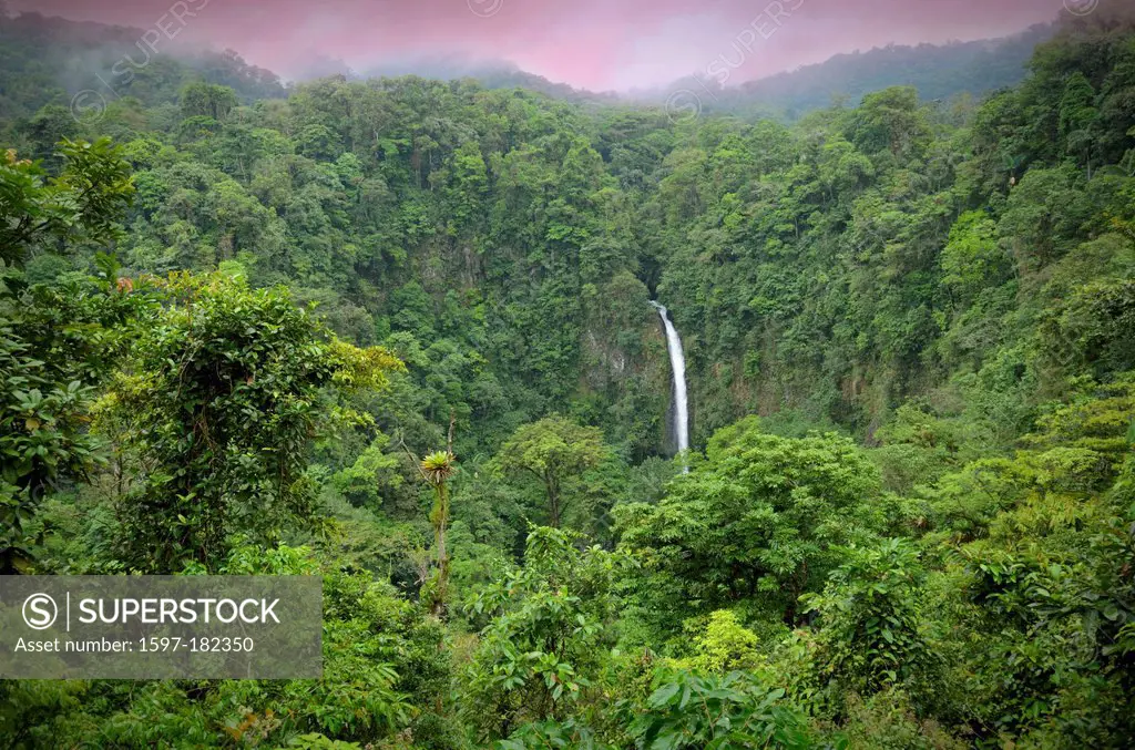 Central America, Costa Rica, waterfall, La Fortuna, jungle, forest, nature, landscape, Alajuela,