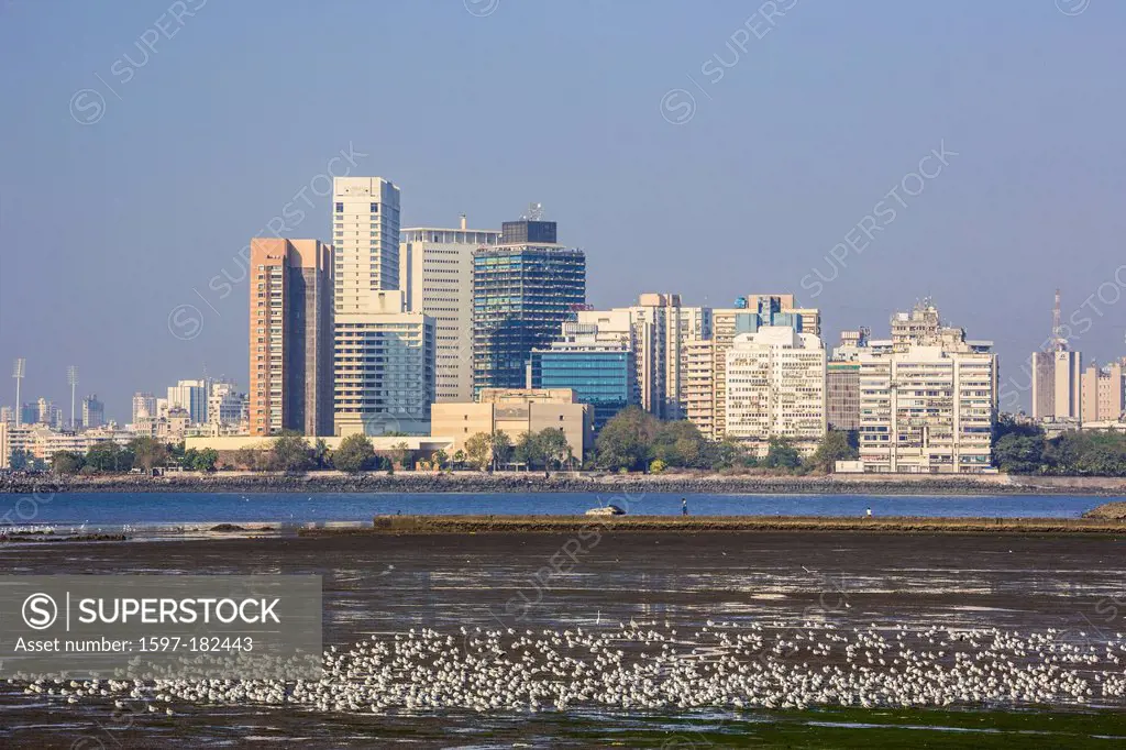 Center Towers, Colaba, India, South India, Asia, Maharastra, Mumbay, Bombay, City, business, skyline, low tide, world trade, buildings