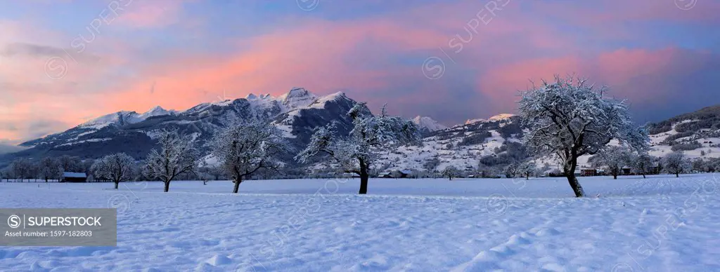 Gams, Switzerland, Europe, canton, St. Gallen, Rhine Valley, trees, snow, winter, morning, mood, red sky,