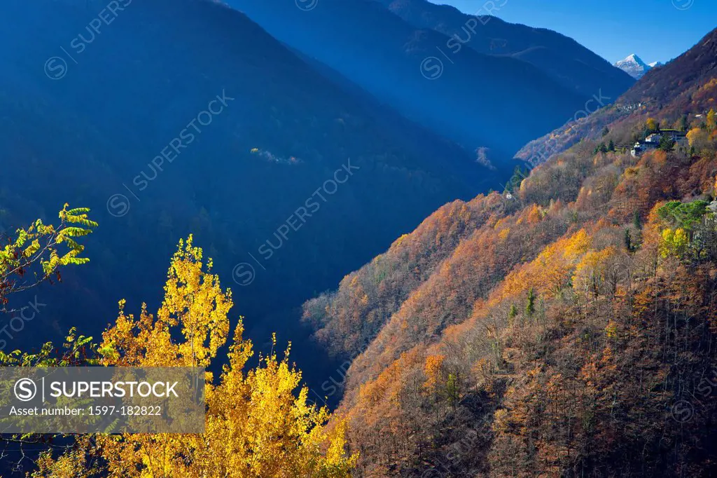 Onsernone valley, Switzerland, Europe, canton, Ticino, wood, forest, trees, autumn