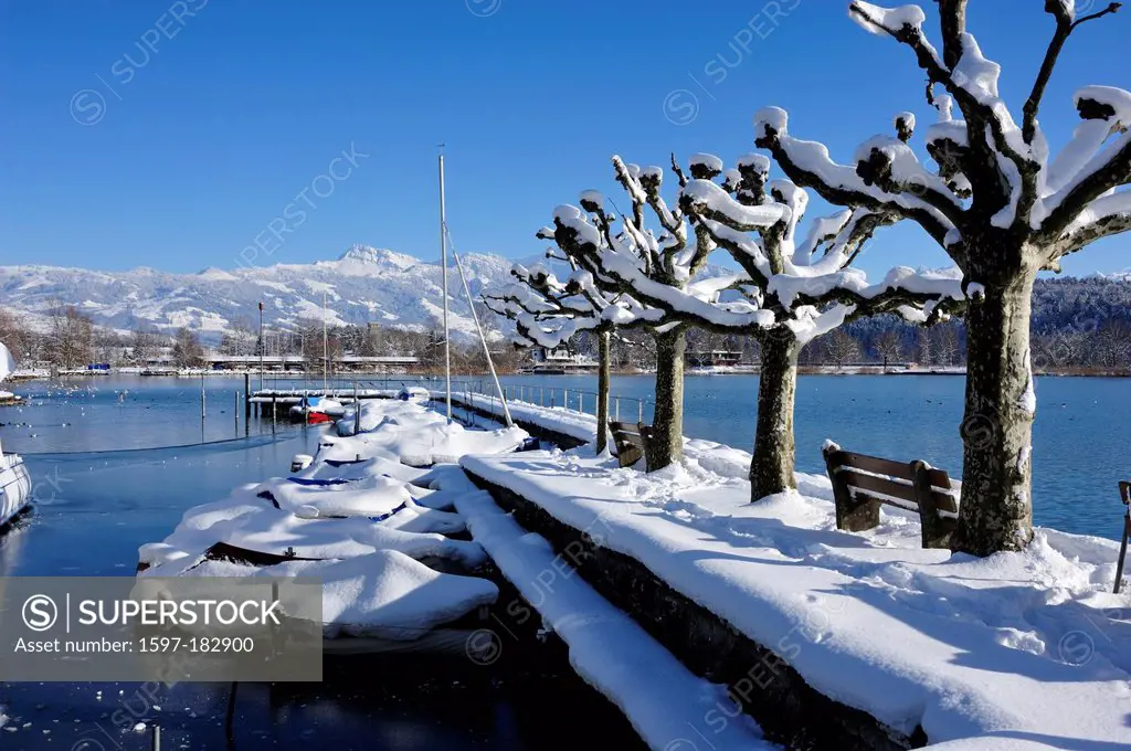 Schmerikon, village, harbour, plane-trees, boats, mountains, Swiss Alps, Speer, Upper Lake of Zurich, winter, snow, Canton, St. Gall, Switzerland