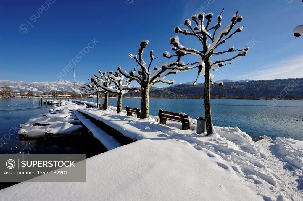 Schmerikon, village, harbour, plane-trees, boats, mountains, Swiss Alps, Speer, Upper Lake of Zurich, winter, snow, Canton, St. Gall, Switzerland
