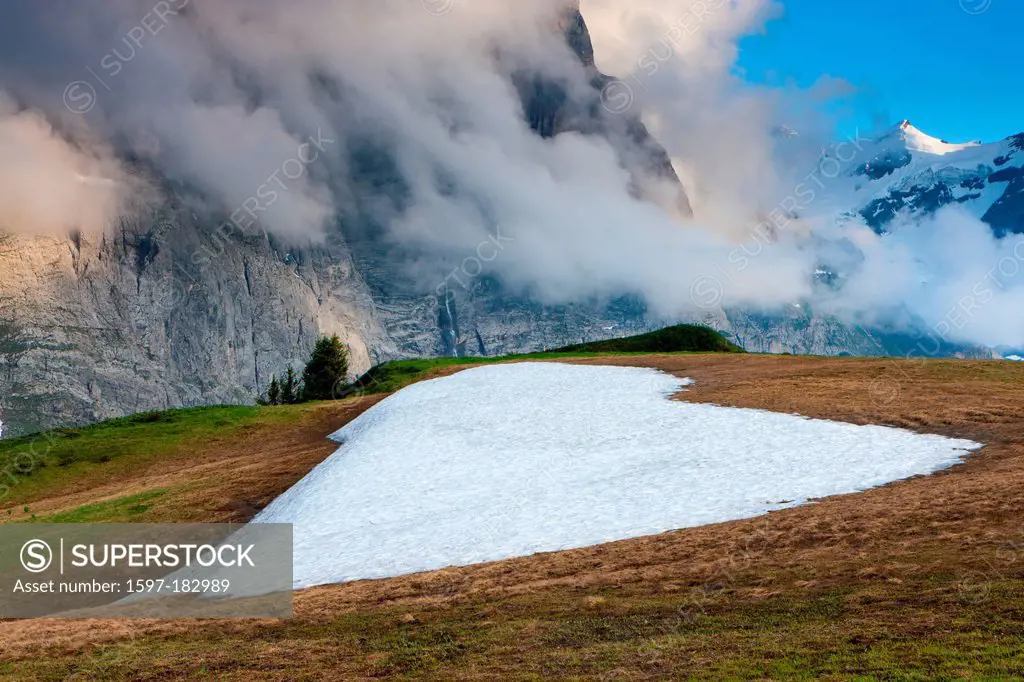 Grosse Scheidegg, Switzerland, Europe, canton, Bern, Bernese Oberland, mountain, clouds, pasture, willow, snow, heart form