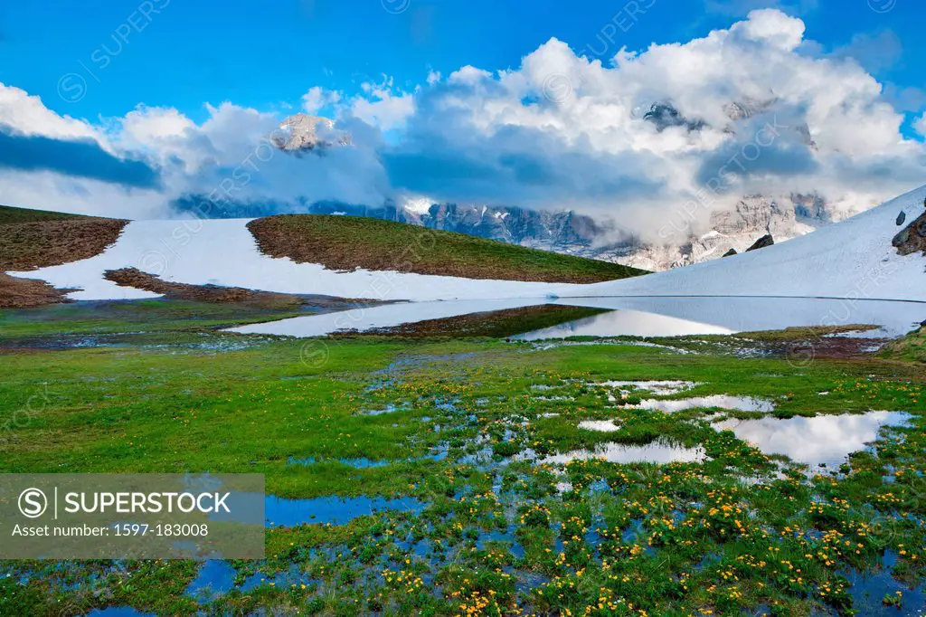 Hornseeli, Switzerland, Europe, canton, Bern, Bernese Oberland, Grosse Scheidegg, mountain lake, mountain, clouds, snow, flowers, marsh marigolds