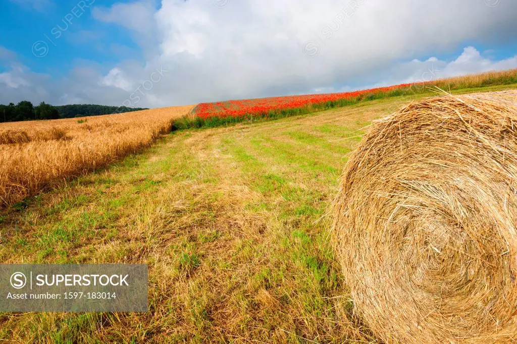 La Sarraz, Switzerland, Europe, canton, Vaud, fields, grain-field, cornfield, field, poppy field, poppies, straw bales, clouds