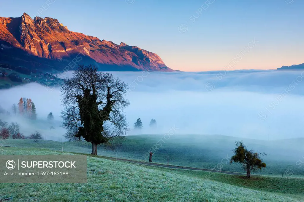 View, Grabserberg, Switzerland, Europe, canton, St. Gallen, Rhine Valley, mountains, Alpstein, morning light, sea of fog, trees