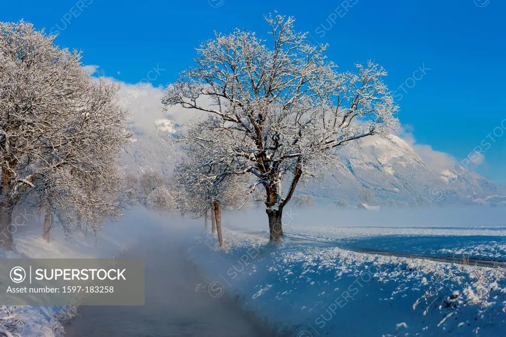 Haag, Switzerland, Europe, canton, St. Gallen, Rhine Valley, trees, brook, snow, winter, ground fog, mist,