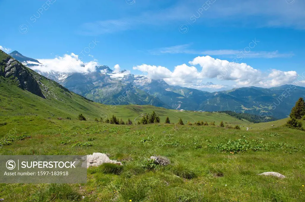 Switzerland, Europe, pasture, willow, panorama, scenery, Alp, alp, alpes vaudoises, Vaud alps, cloud, mountains, Les Diablerets, Isenau, Vaud, canton,...